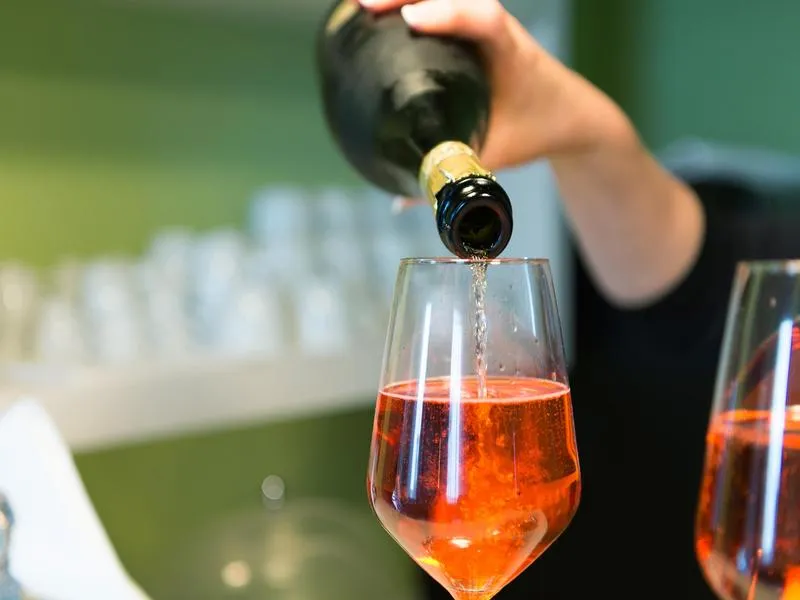 Bar, Villa Gasparini, Venice