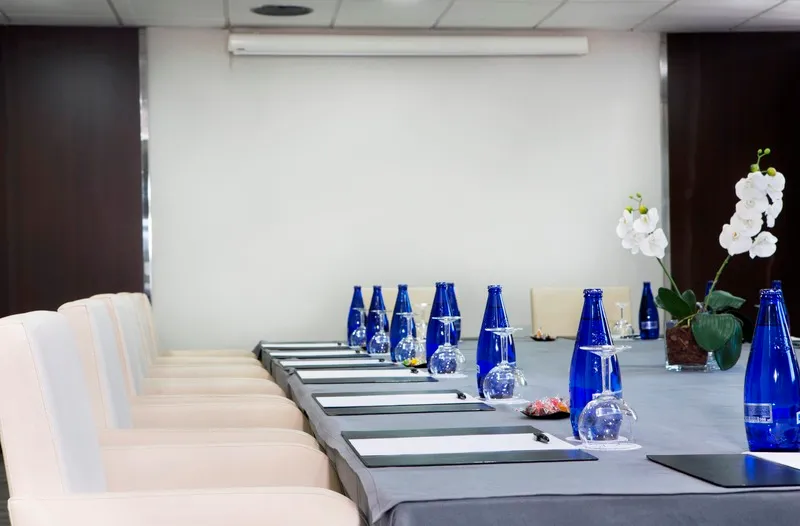 Conferences, Hotel Chamartin the One, Madrid