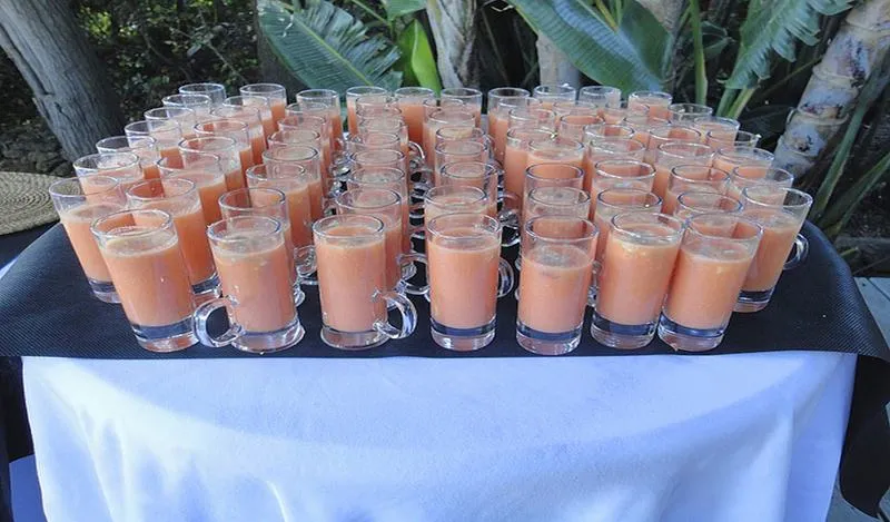 Conferences, Hotel 100% Fun, Costa De La Luz