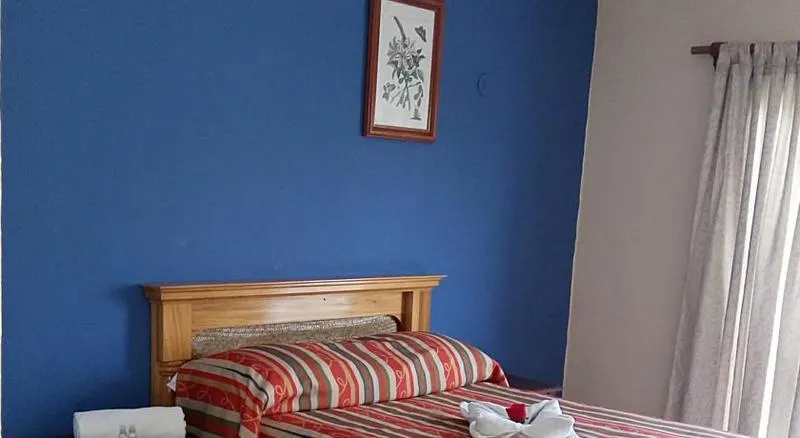 DOUBLE SINGLE USE STANDARD Room, La Alegria Hotel, Playa Del Carmen