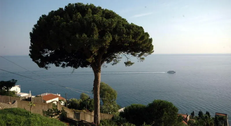 General view, Hotel il Pino, Naples