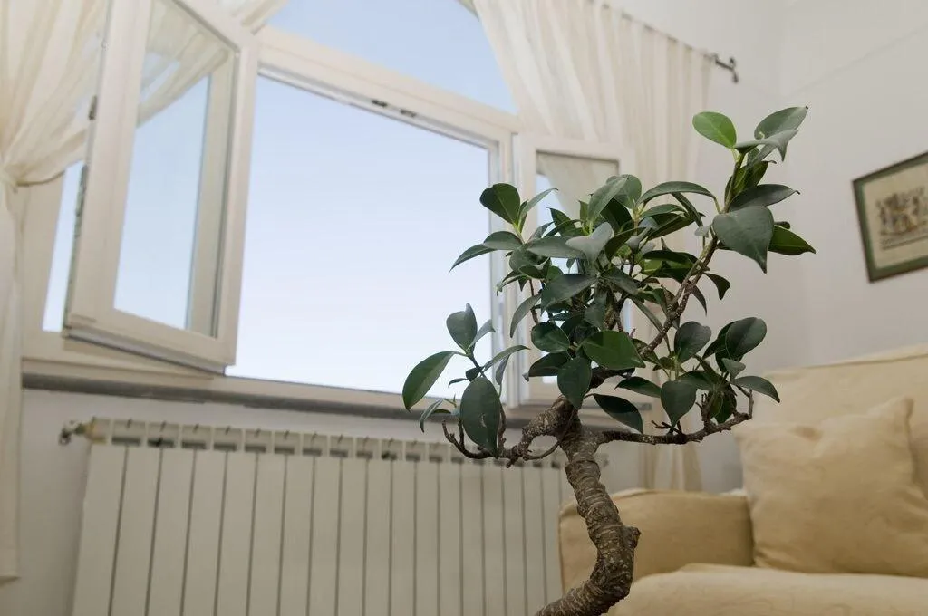 Room, Bed & Breakfast Mamma Rosa, Naples