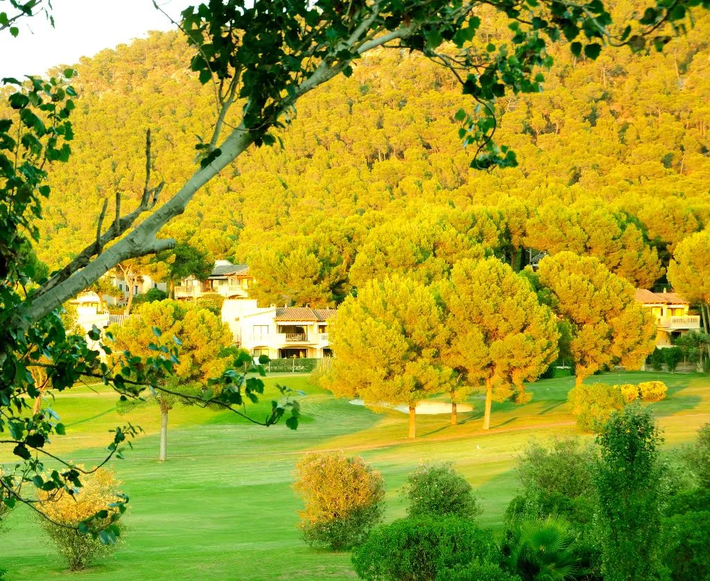 SINGLE STANDARD Room, Golf Santa Ponsa, Majorca