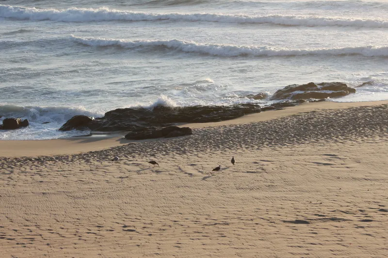 Beach, Quasar, Porto