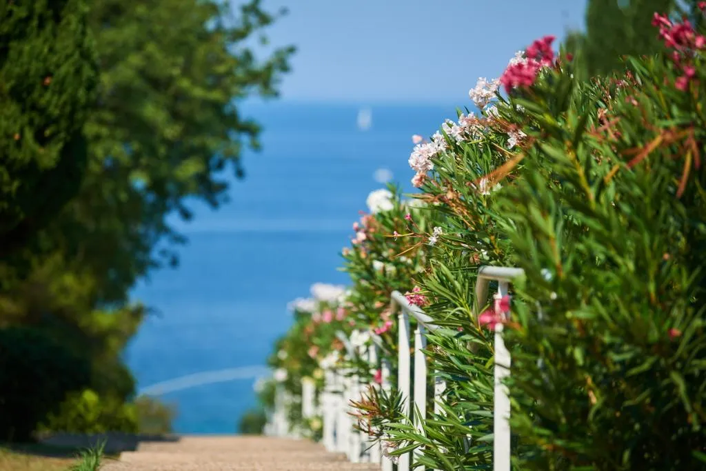 General view, Apartments Bellevue Plava Laguna, Istria