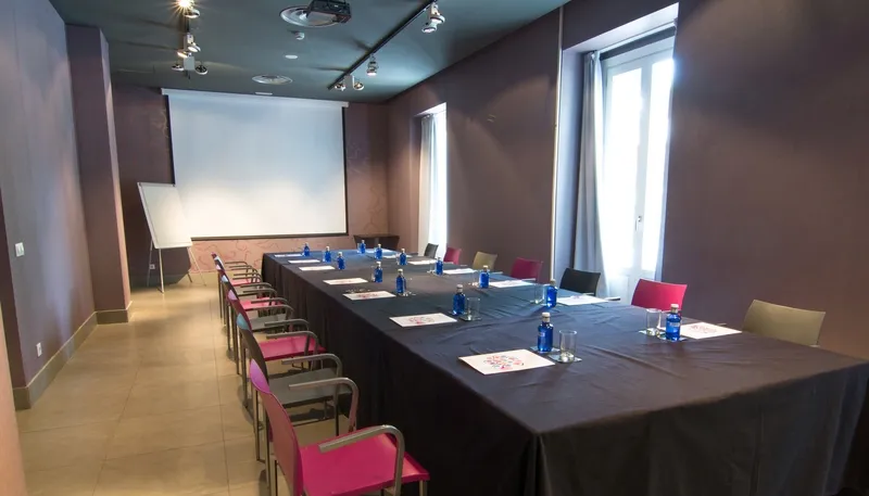Conferences, Petit Palace Santa Barbara, Madrid