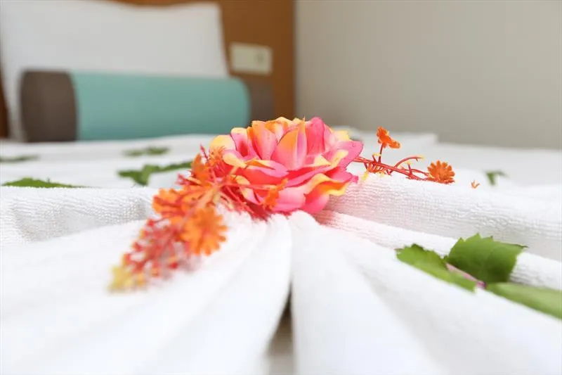 DOUBLE SINGLE USE STANDARD Room, Anita Dream Hotel, Antalya