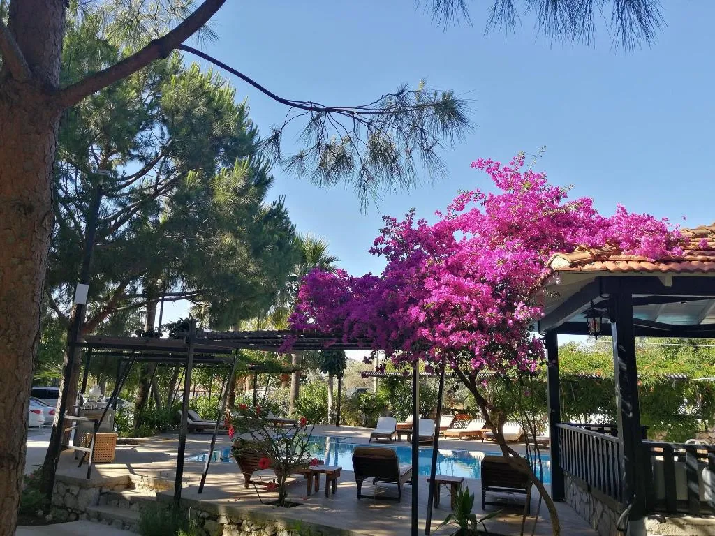 Room, Selimhan Hotel - Selimiye, Dalaman