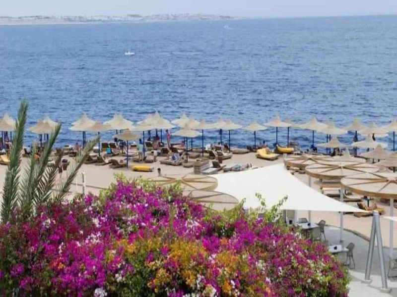 Beach, Amphoras Blu, Red Sea Riviera