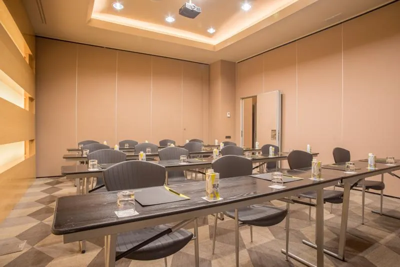 Conferences, Sercotel Pozuelo, Madrid