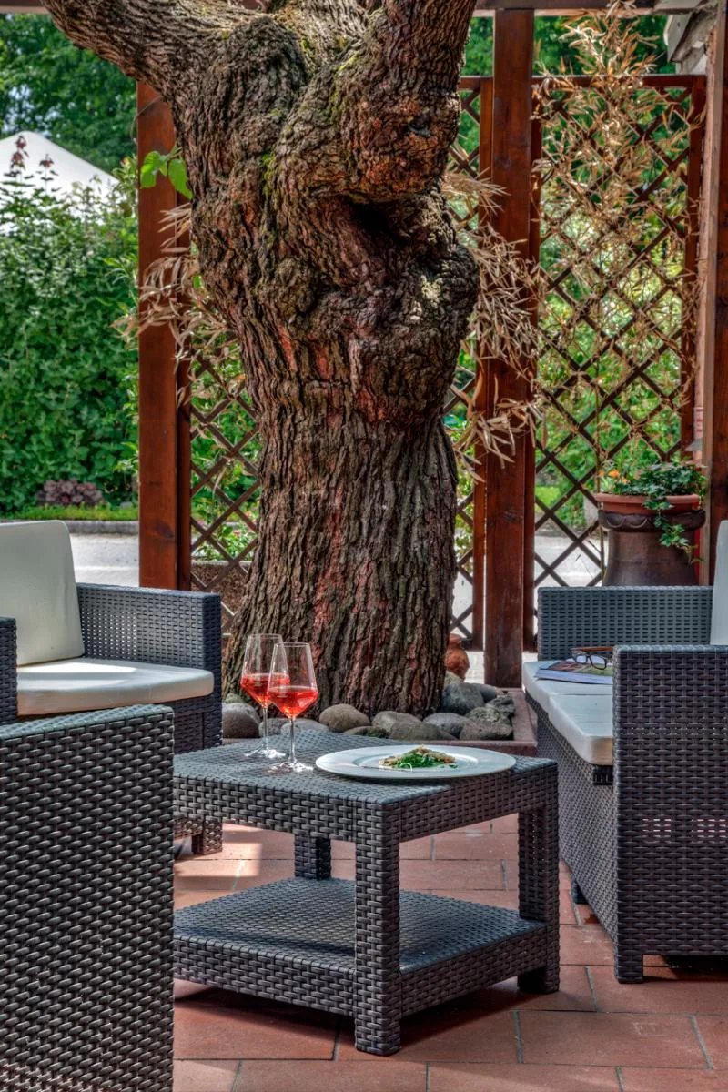 Bar, Park Hotel Junior, Venice