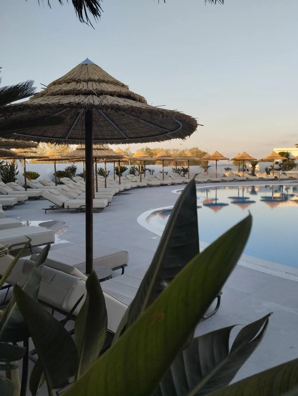 Pool, Kos Palace Hotel, Kos
