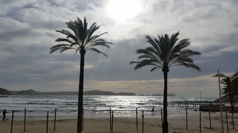 Beach, Hotel Creta Paguera, Majorca