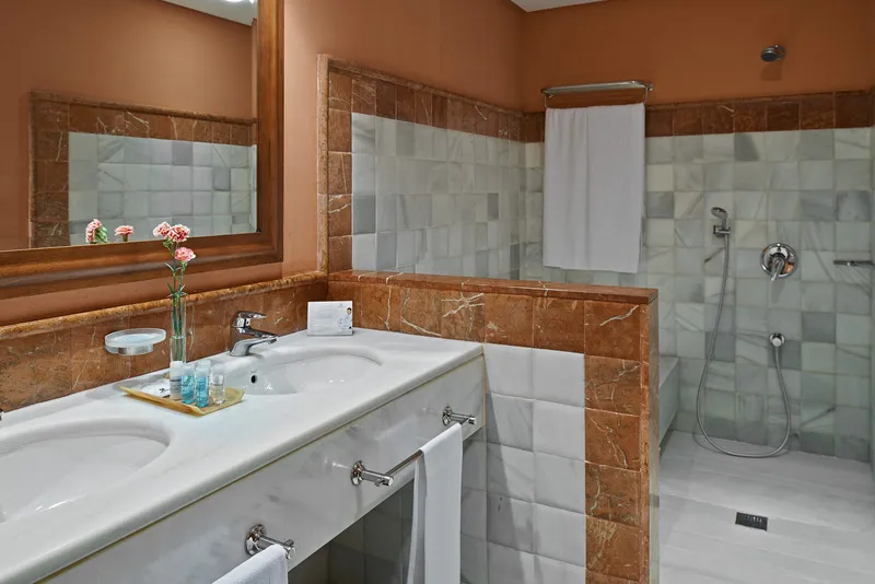 DOUBLE SINGLE USE STANDARD Room, Hipotels Barrosa Palace, Costa De La Luz