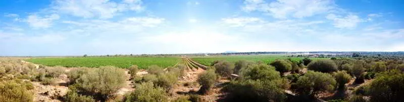 General view, Sa Bassa Plana, Majorca