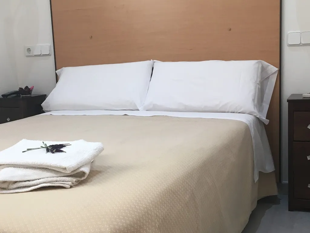 DOUBLE STANDARD Room, Hostal Residencia Lido, Madrid