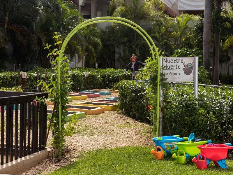 Terrace, Family Club Princess, Playa Del Carmen