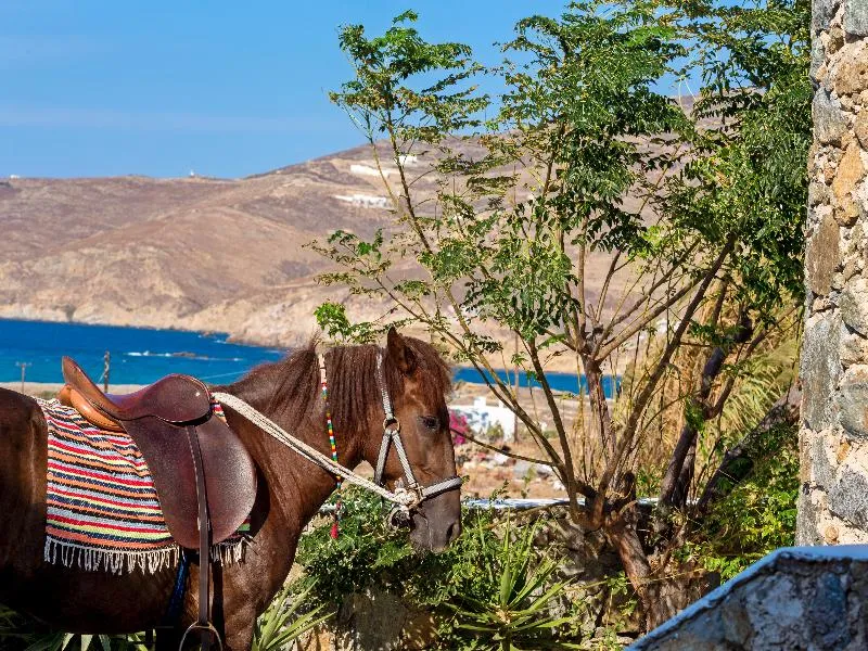 Beach, Anamar Mykonos, Mykonos