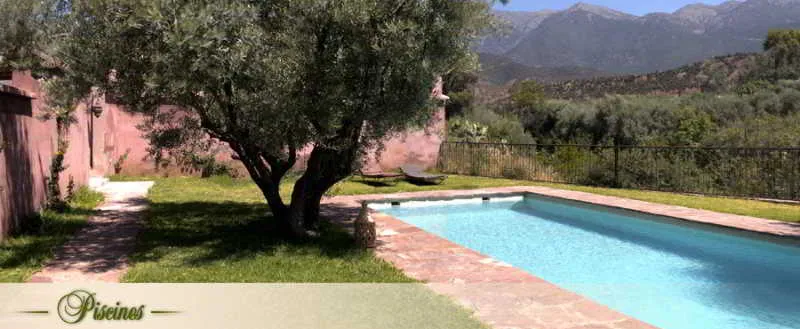 General view, Oliveraie De Marigha, Marrakech
