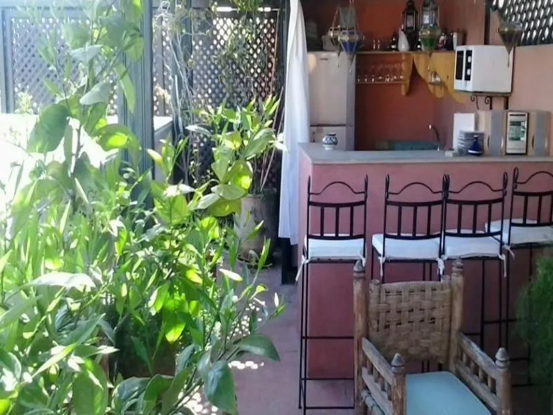 Terrace, Riad Aloes, Marrakech