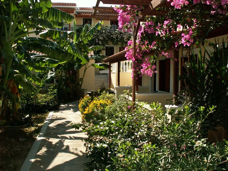Terrace, Athena, Samos