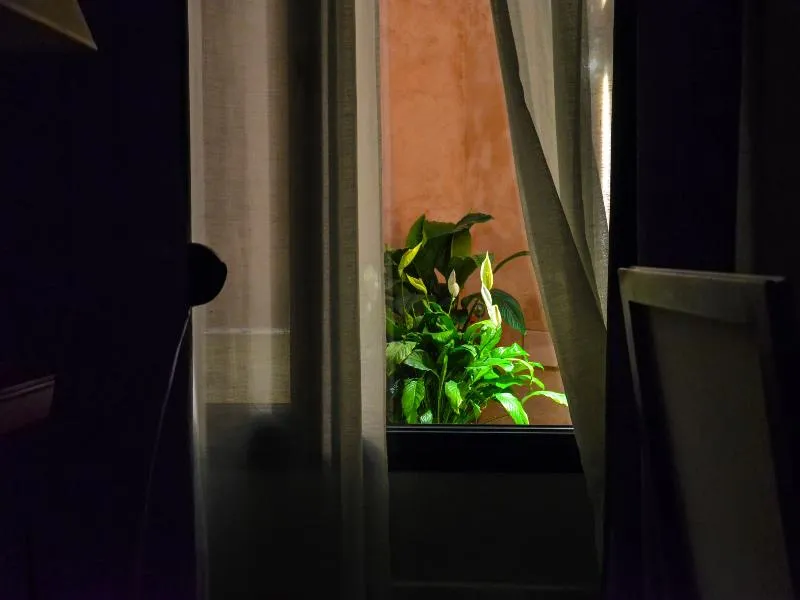 Terrace, Aguilas5 SevillaSuites, Seville