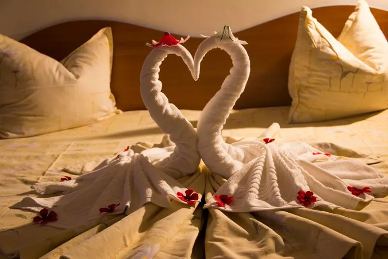 Room, Kamchia Park, Varna
