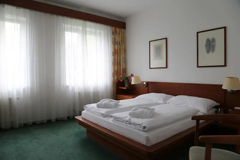 DOUBLE STANDARD Room, Popelka Hotel, Prague