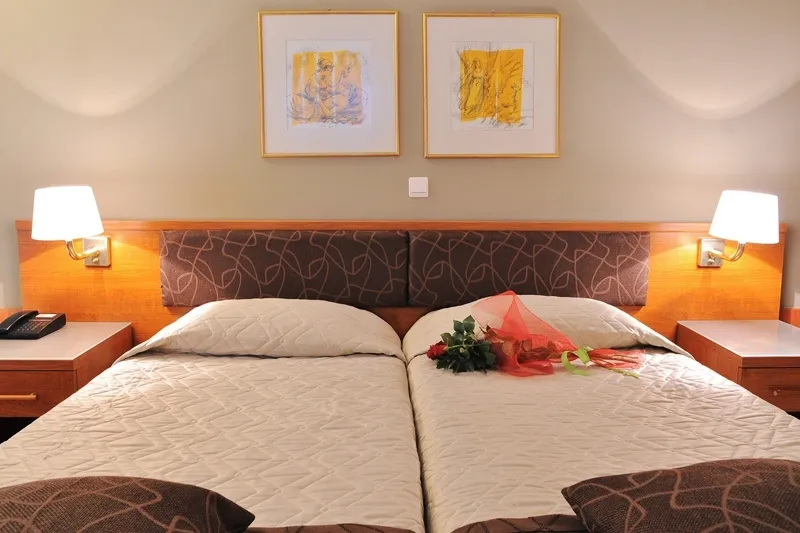 Double or Twin STANDARD Room, Acropolis Select, Athens