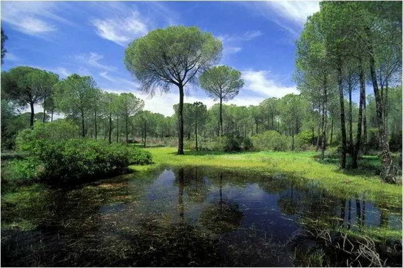 Sports and Entertainment, El Cortijo de los Mimbrales, Costa De La Luz