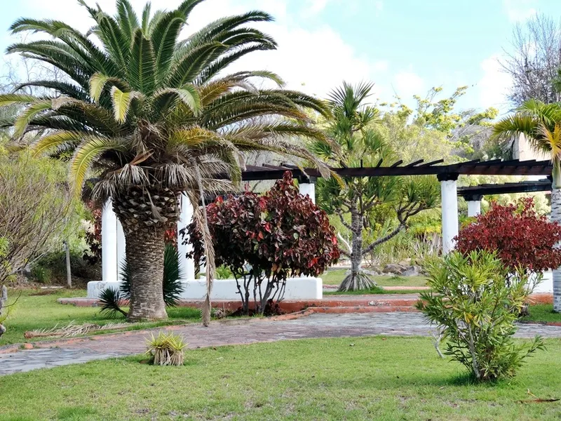 General view, Green Park, Tenerife
