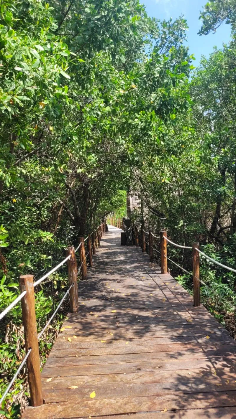 Beach, Akuazul Resorts Only Adults, Cancun Area
