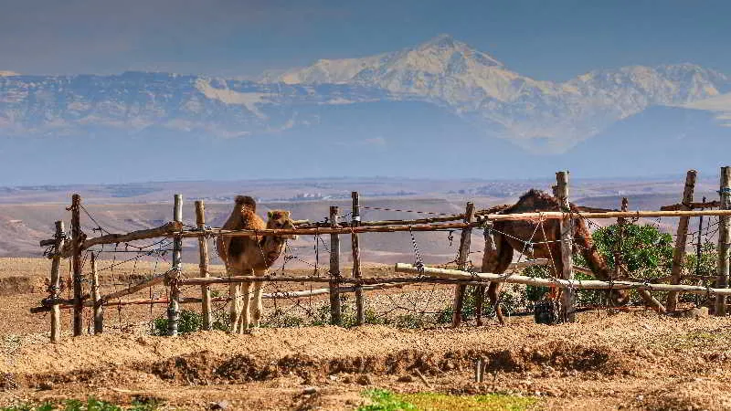 General view, Terre Des Etoiles, Marrakech