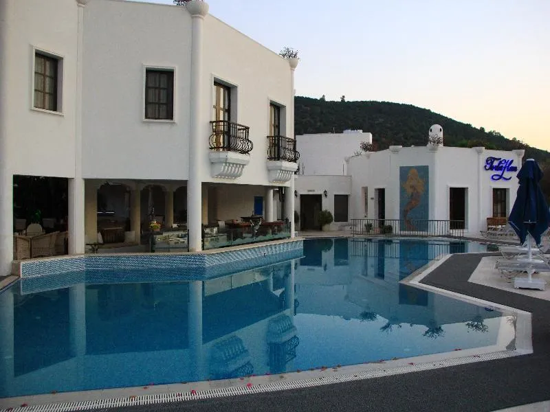 Pool, Torbahan Hotel, Bodrum