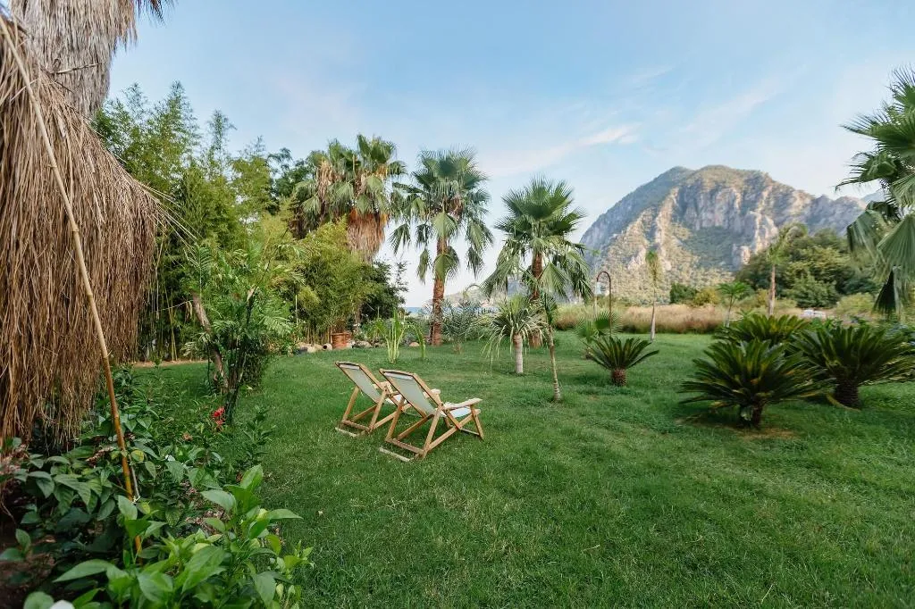 Room, Olympos Lodge, Antalya