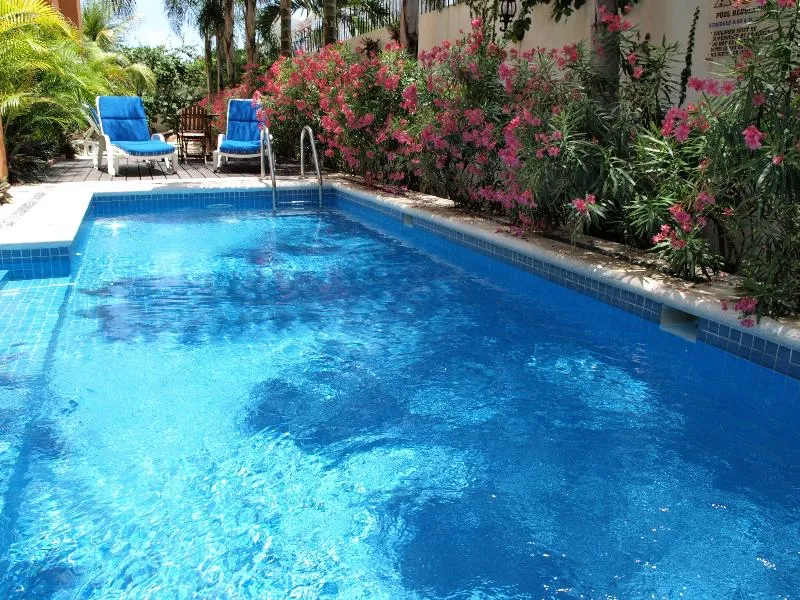 Pool, Las Golondrinas, Playa Del Carmen