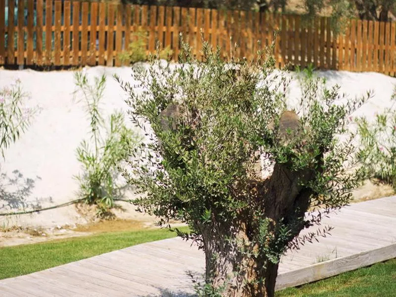 Terrace, Aqua Bay, Zante