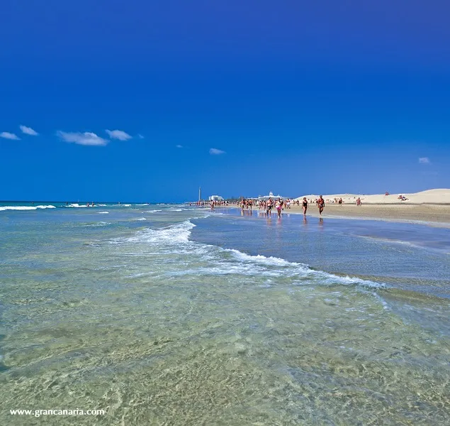 Beach, Seaside Palm Beach, Gran Canaria