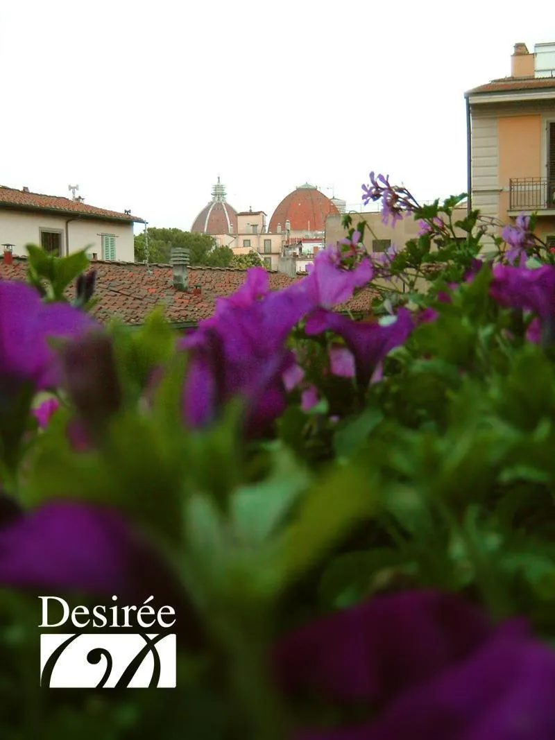 General view, Desiree, Florence