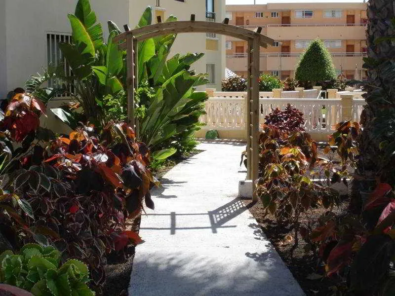 Lobby, Los Ficus, Gran Canaria