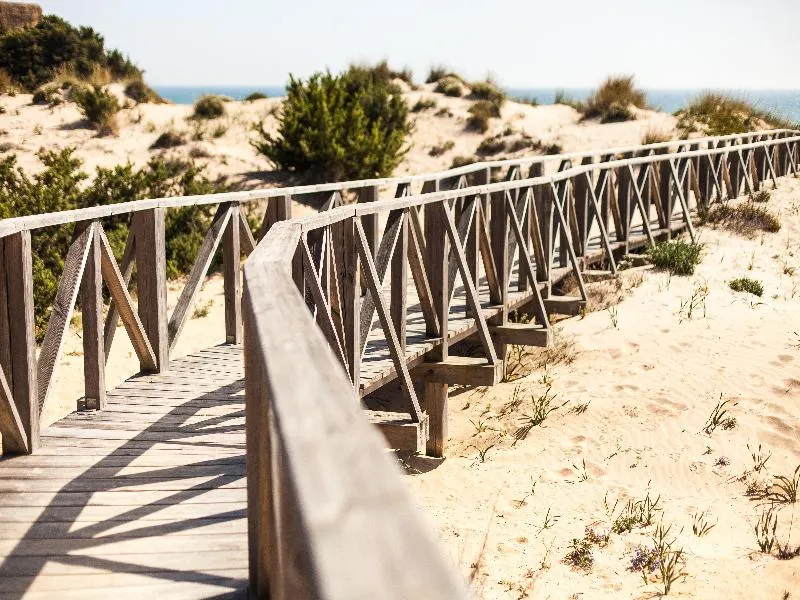 Beach, Valentin Sancti Petri, Costa De La Luz