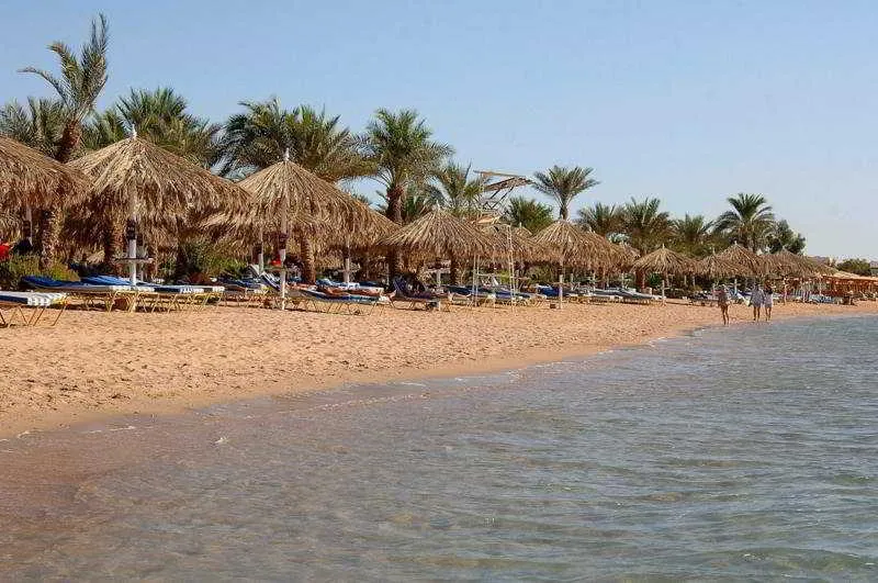 Beach, JAZ Fayrouz, Red Sea Riviera