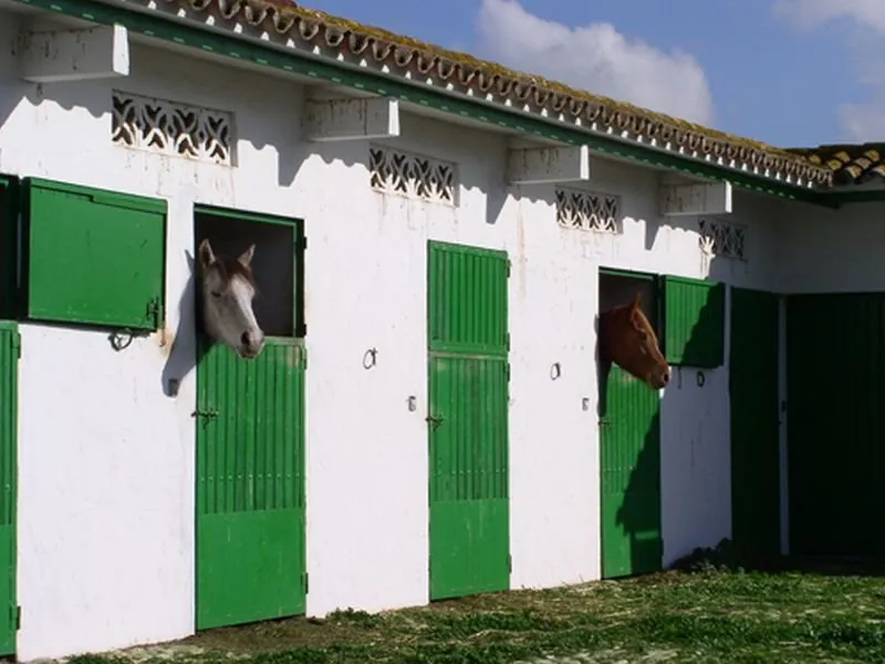 Sports and Entertainment, Cortijo Las Piñas, Costa De La Luz