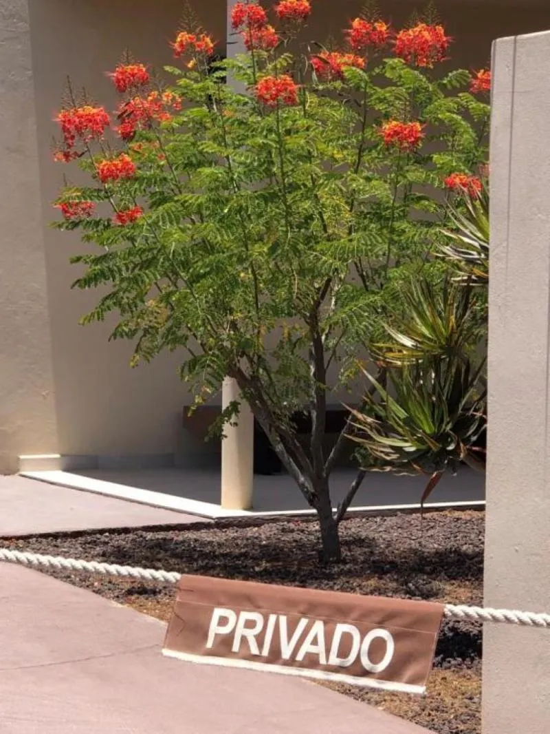 Lobby, FuerteVillage, Fuerteventura