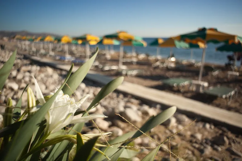 Beach, Irene Palace Beach Resort, Rhodes