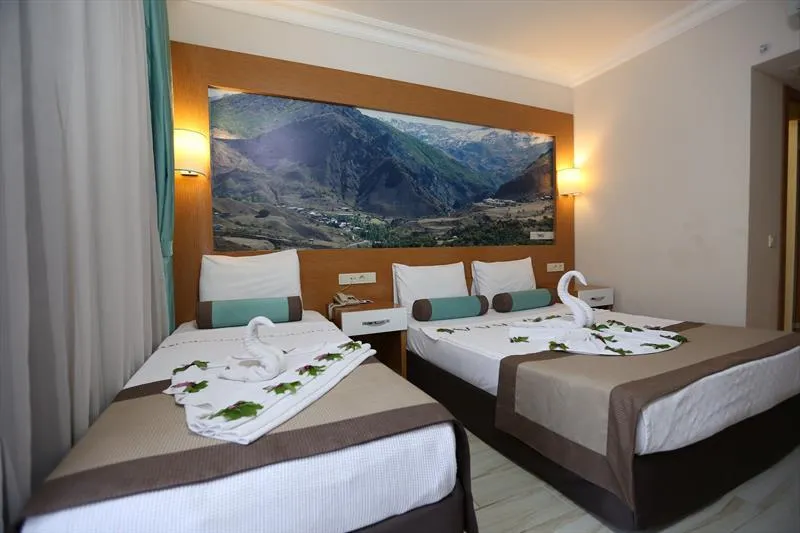 DOUBLE SINGLE USE STANDARD Room, Anita Dream Hotel, Antalya