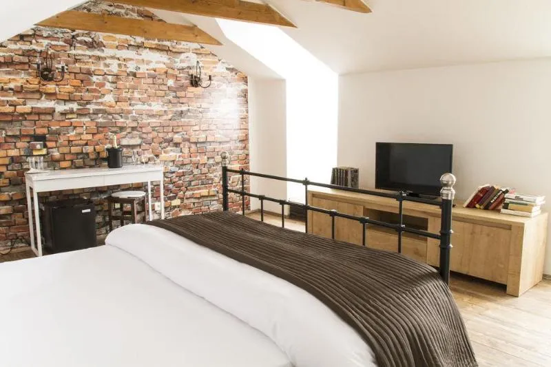 General view, U Šuterů Boutique Hotel, Prague