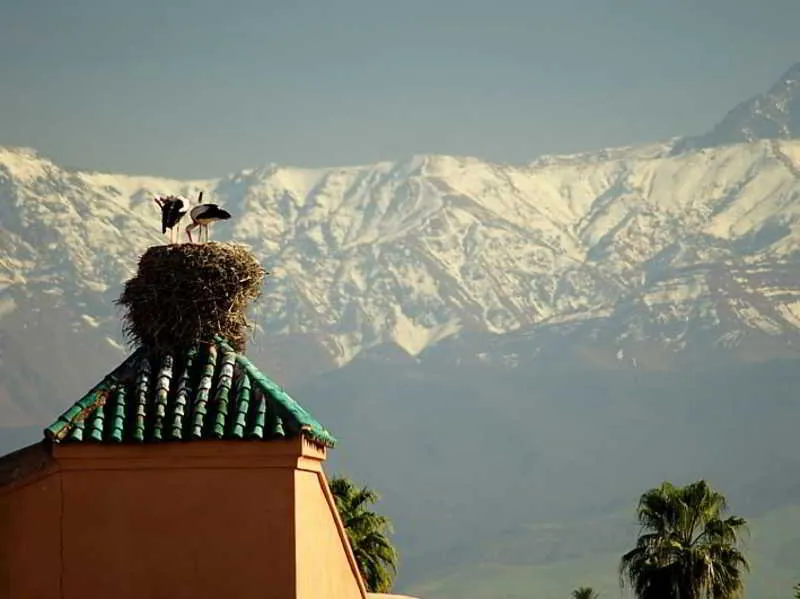 General view, Riad Des Epices, Marrakech