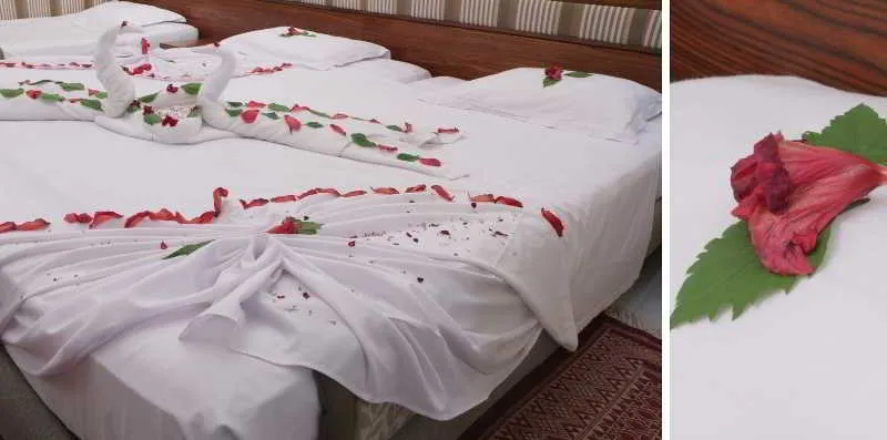 Room, Dessole Le Hammamet Hotel, Tunisia