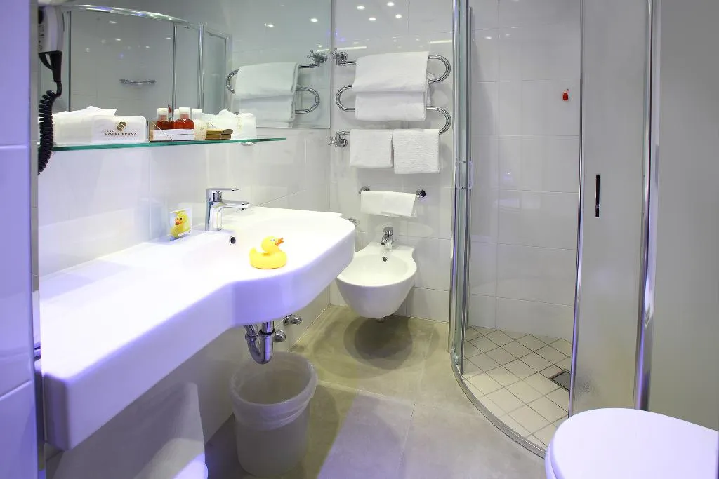 SINGLE SUPERIOR QUEEN BED Room, Hotel Berna, Milan